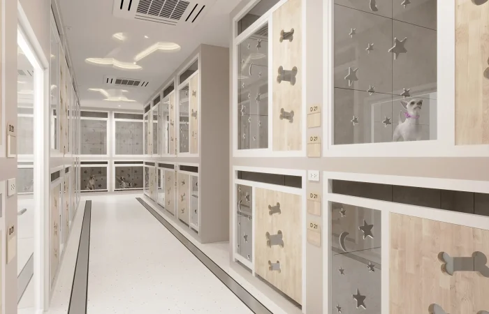 DOG ROOM1 2026-01-28PS