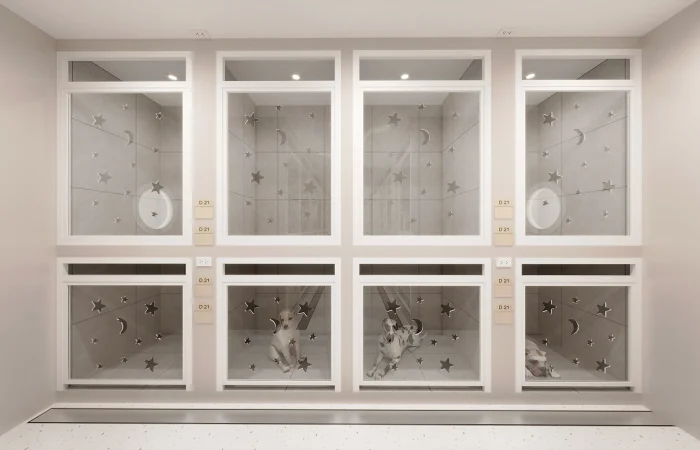 DOG ROOM3 2026-01-28PS